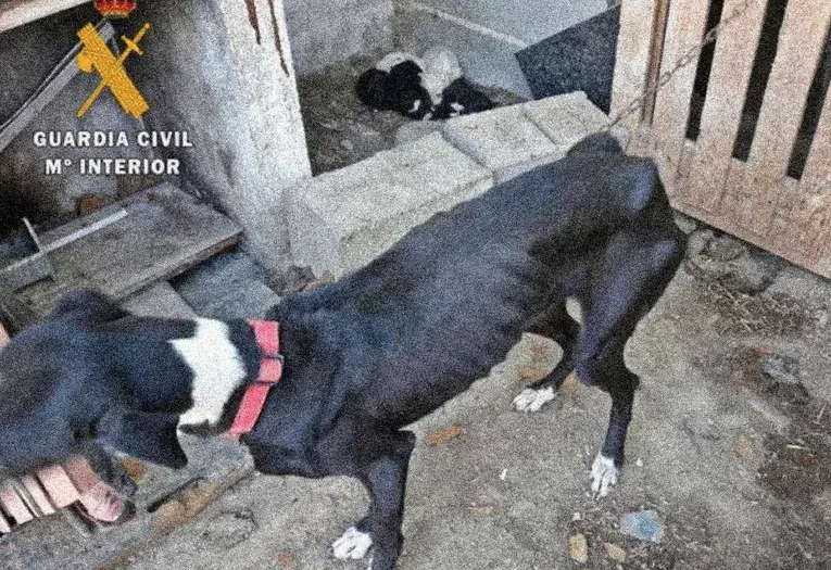 Captura de Pantalla 2025-08-08 a la(s) 19.35.28