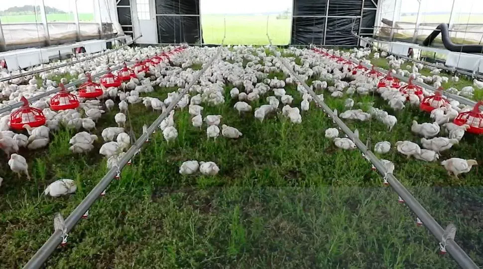 Captura de Pantalla 2025-06-16 a la(s) 11.46.33